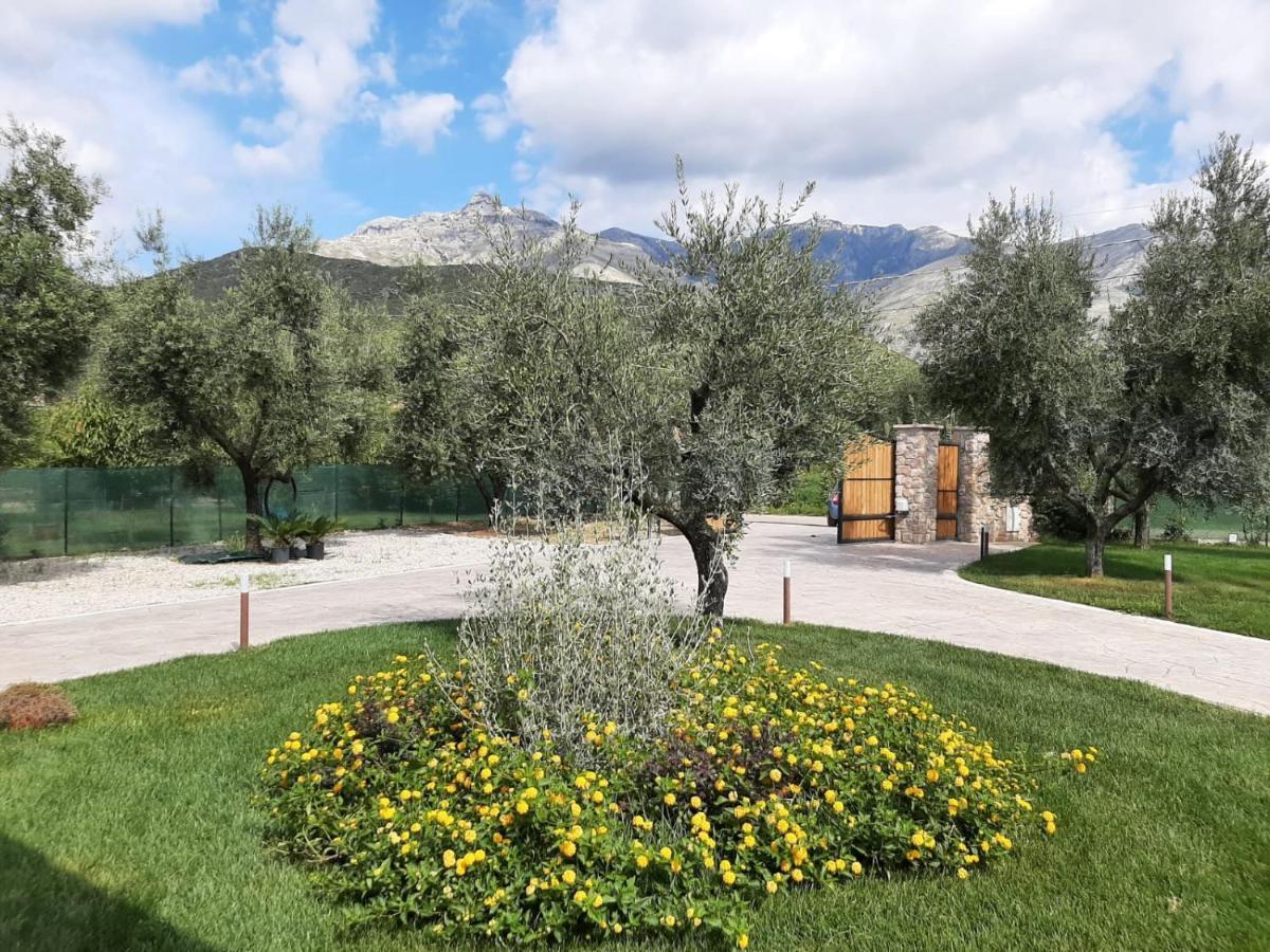 La Campagna Di Peppe E Tullia Bed & Breakfast