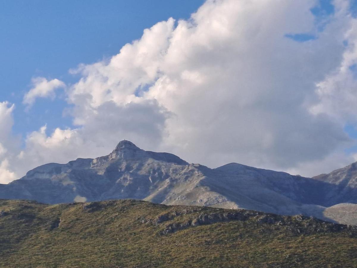 La Campagna Di Peppe E Tullia *